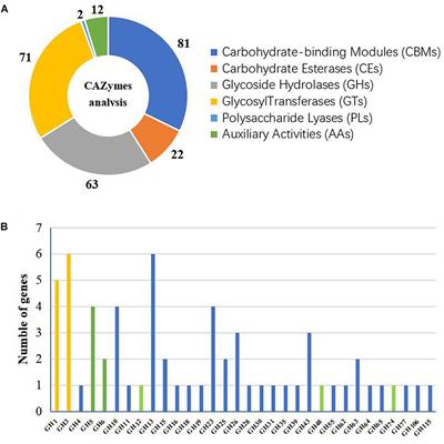 Expression and Characteristics of Two Glucose-Tolerant GH1 β-glucosidases From Actinomadura amylolytica YIM 77502T for Promoting Cellulose Degradation